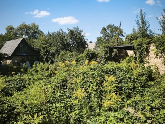 ділянка 4.3сот садове товариство. берковці Коцюбинське