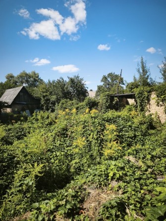 ділянка 4.3сот садове товариство. берковці - фото 1