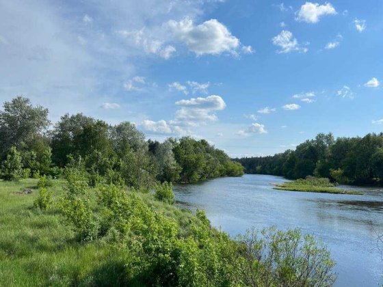 Ділянка 0,25га під забудову в тихій місцевості
