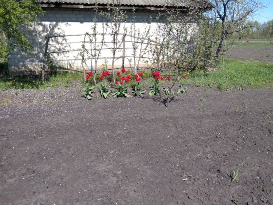 Продам земельну ділянку Лозовая