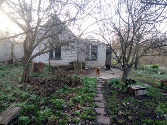 Продам земельну ділянку Лозовая