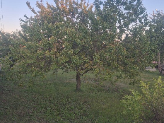 Продам участок під будівництво Люботин