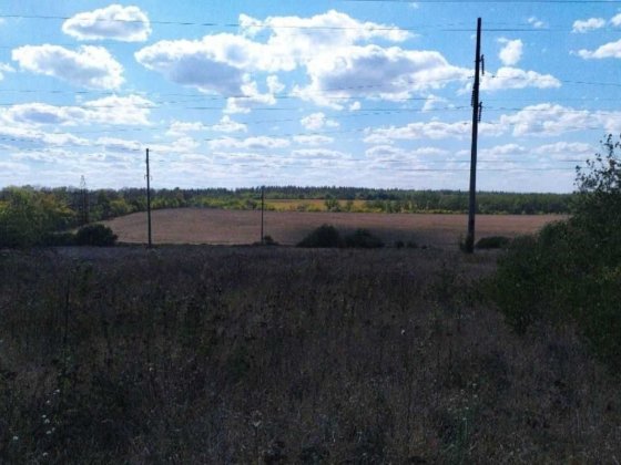 Продам ровный участок – 24 сот. пос. Борки Мерефа