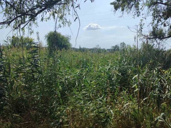 Продаж земельної ділянки біля живописної річки Хорол! Миргород