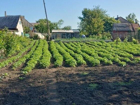 Продам земельну ділянку з фундаментом для забудівлі Миргород