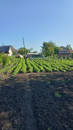 Продам земельну ділянку з фундаментом для забудівлі - фото 1