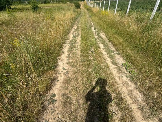 Земельна ділянка Мукачево