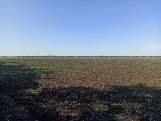 Продам земельну ділянку - ПАЙ 2 га Чернігівська обл, ЗЕМЛЯ НЕ В ОРЕНДІ