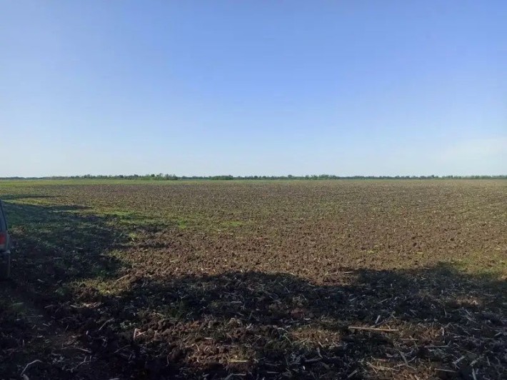Продам земельну ділянку - ПАЙ 2 га Чернігівська обл, ЗЕМЛЯ НЕ В ОРЕНДІ - фото 1