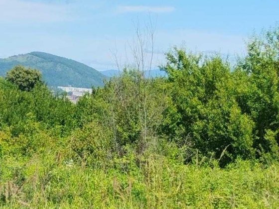 Прдається земельна ділянка Мукачево
