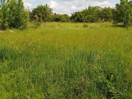 Продам приватизовану ділянку в Ніжині  під забудову 9.5соток.
