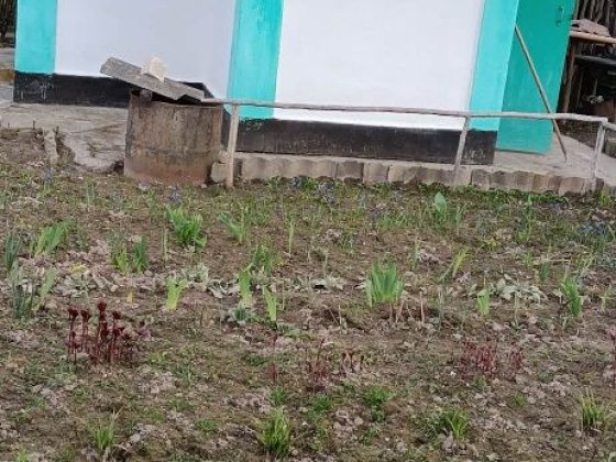 Продам дачу на Ветерані