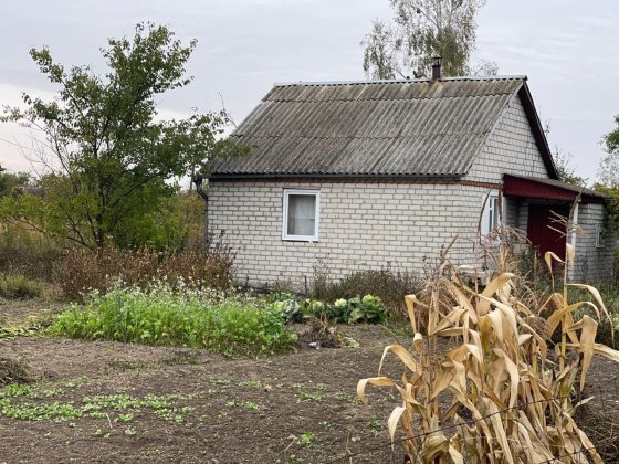 Дача з будиночком (на ветерані) Звягель
