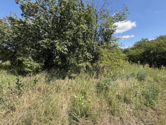 Продам дачну ділянку 5 соток у м. Самар, СТ «Меліоратор». Самар