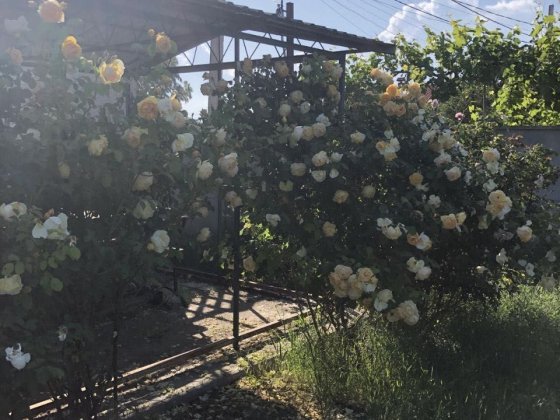 Продаю земельний участок Очаків