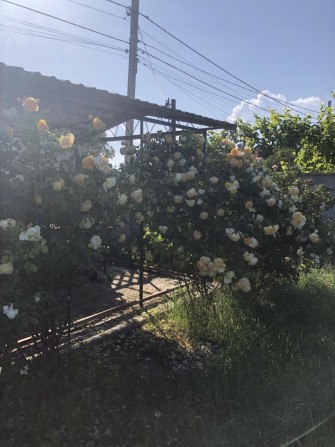 Продаю земельний участок - фото 1