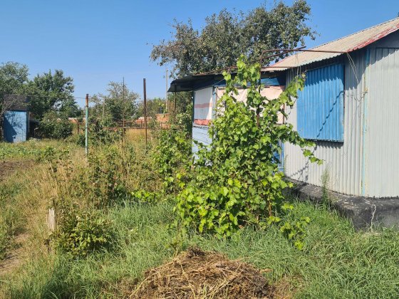 Продам дачу (3 участка по 4 сотки каждая) Павлоград