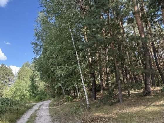 Ділянка 60сот. на межі Сосновий ліс, м. Обухів Обухів
