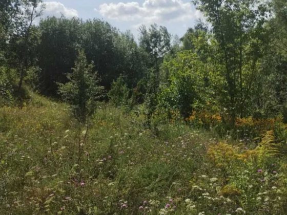 Ділянка Ковалевської, Обухів Обухів