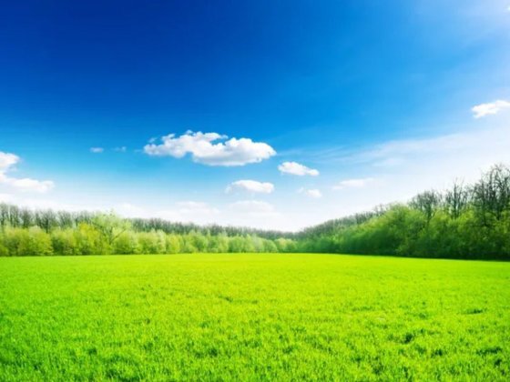 Продам участок Обухов Обухів