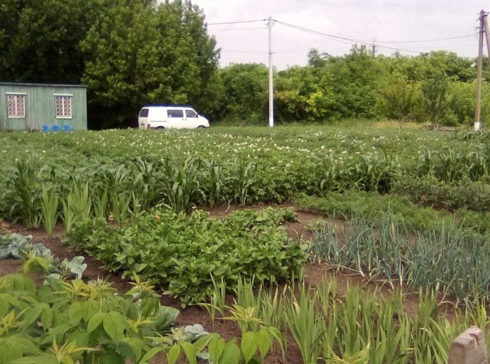 Земельна ділянка 10с, доглянута, гарне розташування, комунікації поряд - фото 1