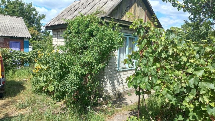 садова ділянка дача - фото 1
