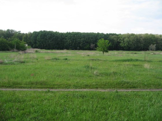 Земельна ділянка під забудову 10 соток Светловодск