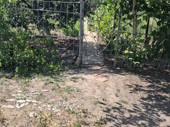 Продам участок виноградник без постройки недорого срочно. Славянск