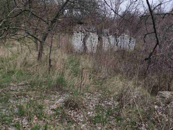 Дачна ділянка, земля. Дача- "Мебельщик". Солоницівка (Гаврилівка) Солоницевка