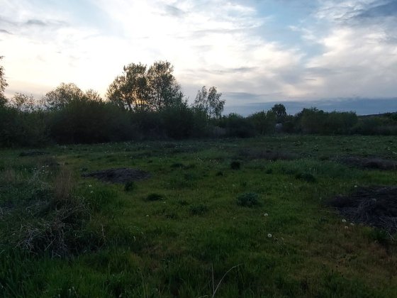 Продам приватизированный участок в Солоницевке Солоницевка