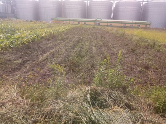Продам земельну ділянку Староконстантинов