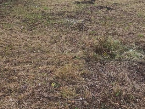 Продаж дачної ділянки в Трускавці Трускавець