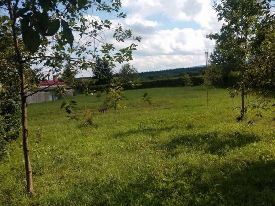Земельна ділянка Трускавець