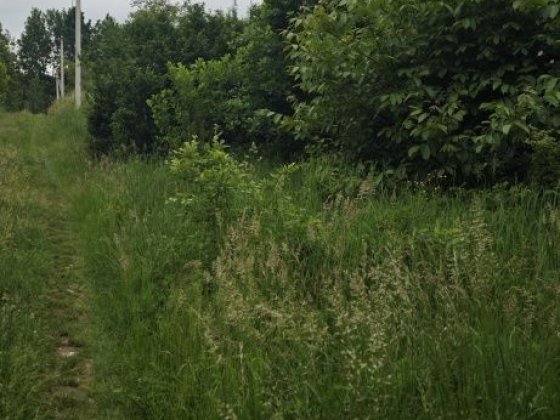 Продаж земельної ділянки  Трускавць Станеля Трускавець