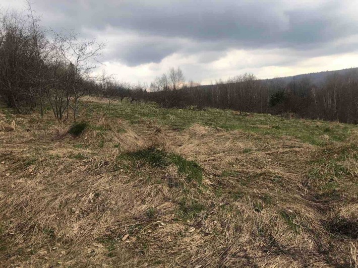 Інвестиційна земельна ділянка 9,30 га. межує з лісом і річкою. Гори Карпати Трускавецька ТГ - фото 1