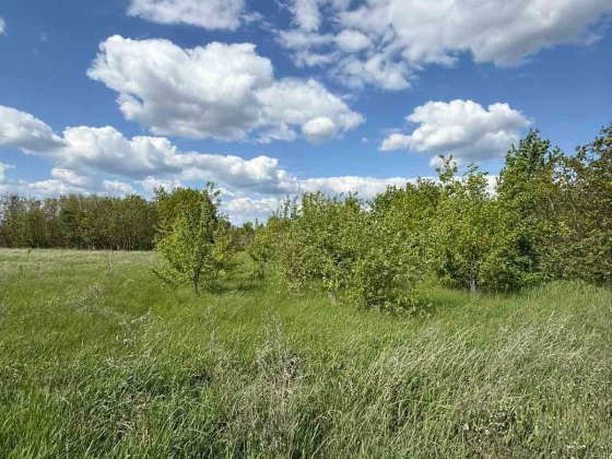 Продаж земельної ділянки 9 соток в районі аеропорту! Умань