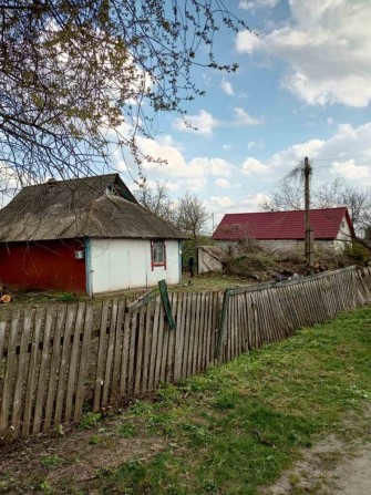 Томашівка Фастівського району Київської області - фото 1