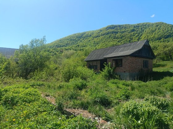 Будинок 7 соток у Закарпатті, 6 км до міста, гори та річка поруч