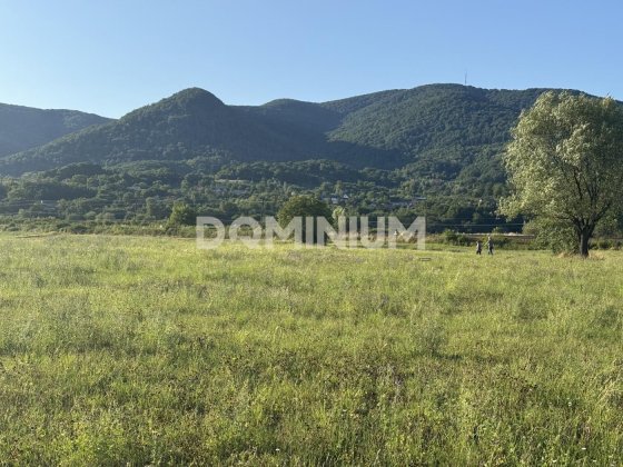 Продаж Земля Хуст Будівництво Хуст
