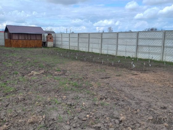 Продам земельну ділянку Шостка