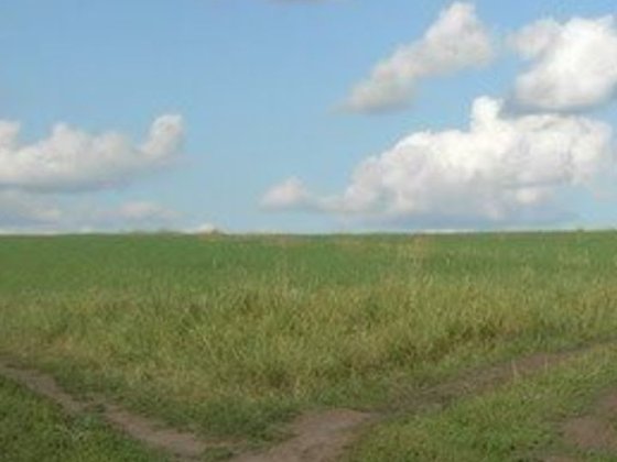 Земельный участок под овощи,  пай 15га, Нікополь