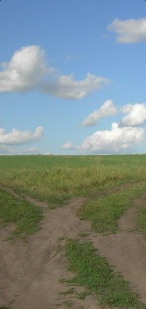 Земельный участок под овощи,  пай 15га, - фото 1