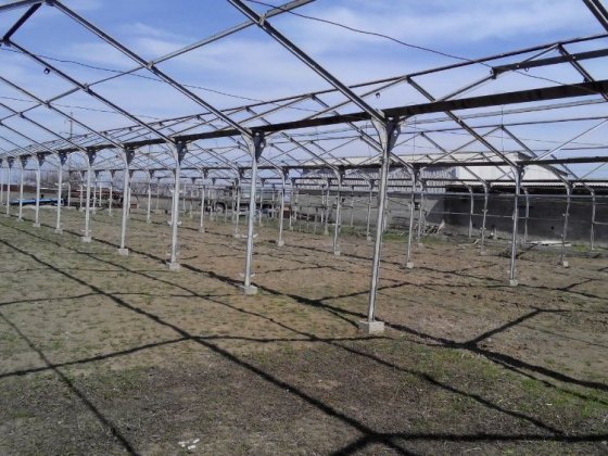 Продам Фермерское хозяйство Нікополь