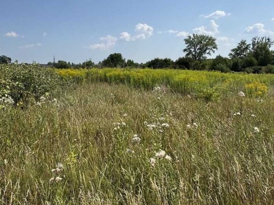 Продаю земельну ділянку розташовану в перспективному районі села Агрономічне. Агрономичное