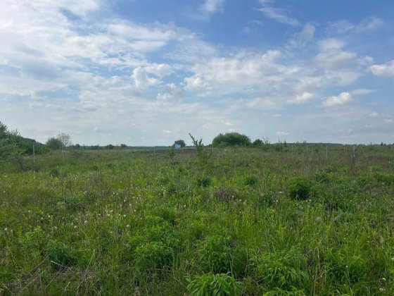 Продається земельна ділянка в Агрономічному Агрономичное