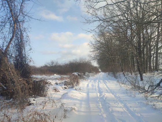 Продається ділянка в Агрономічному Агрономичное
