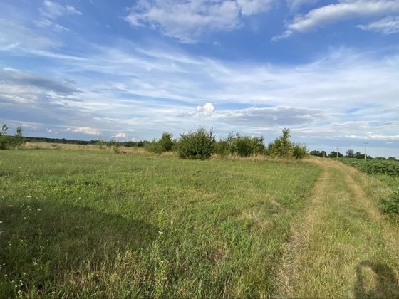 Терміново !!Продаж 2 ділянок с.Вінницькі Хутори Вінницькі Хутори