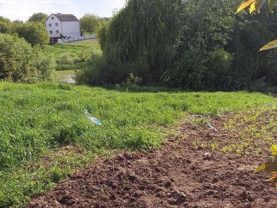 Власник. Продам земельну ділянку 19с, Вінницькі Хутори вул. Абрикосова Вінницькі Хутори