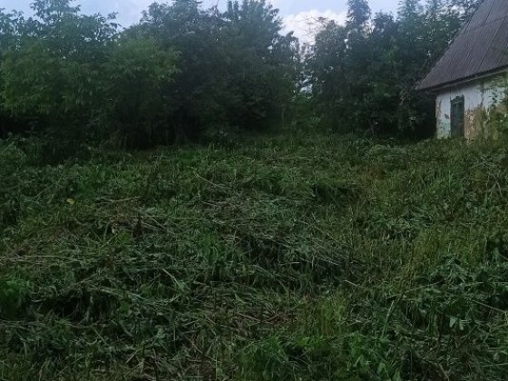 Земельна ділянка  Комарово Березина