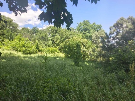 Продам ділянку на Вінницьких Хуторах 3030 Винницкие Хутора